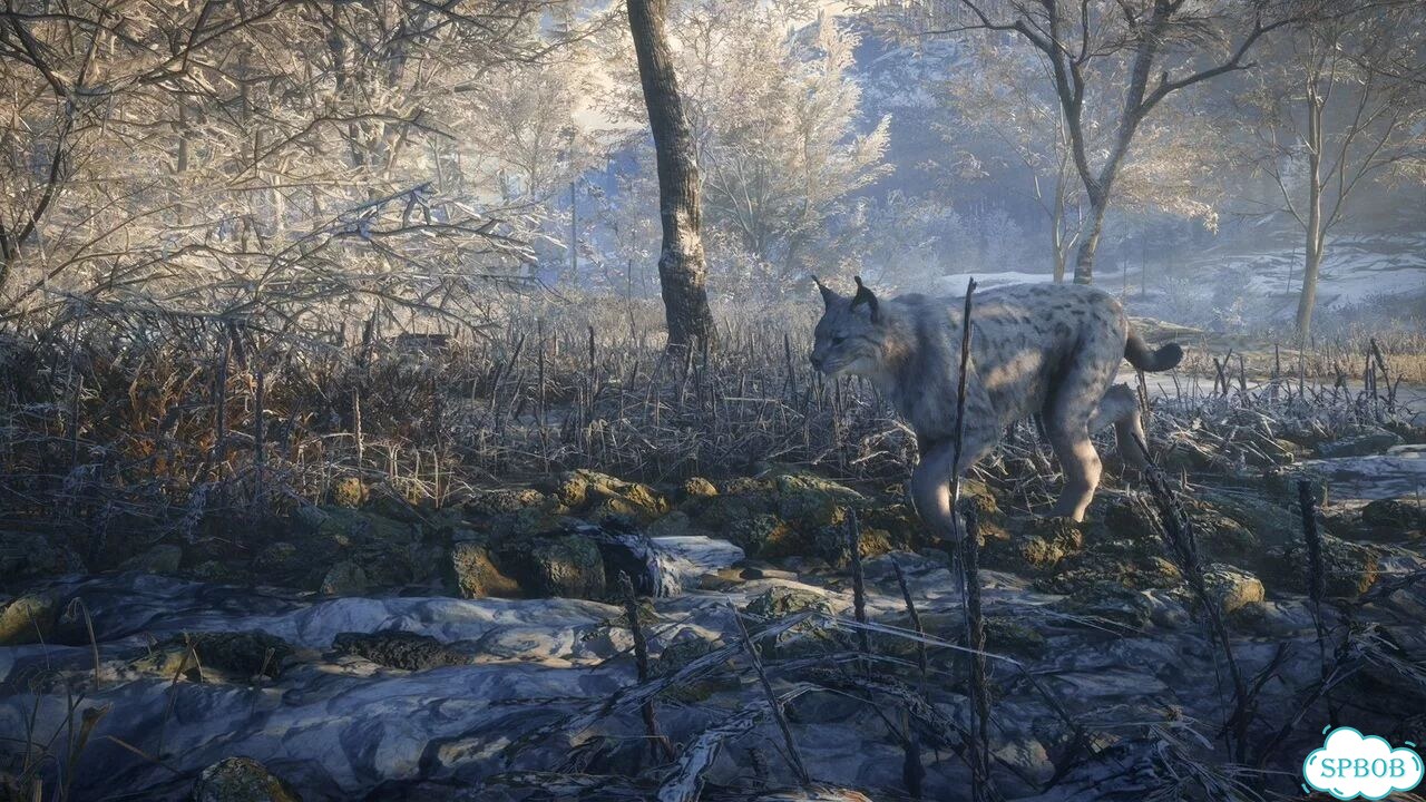 TheHunter Call of the Wild PS4/PS5 На Русском фото 7