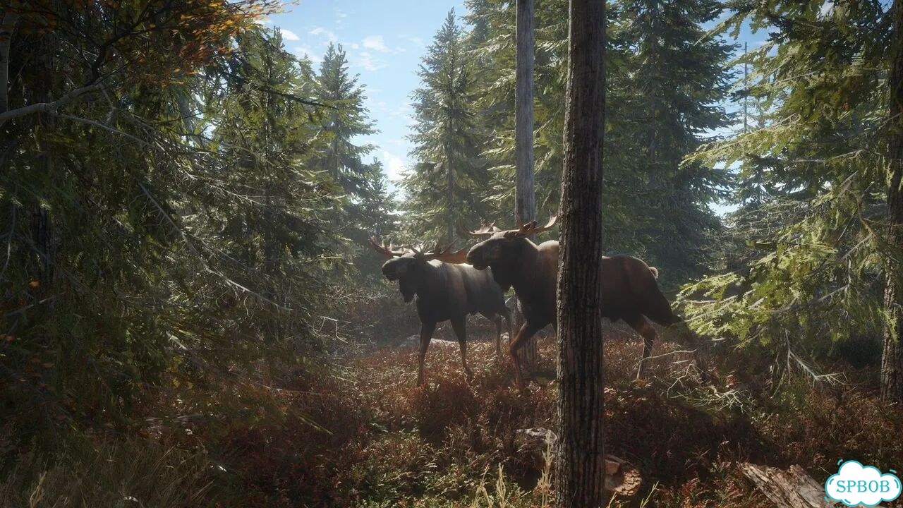 TheHunter Call of the Wild PS4/PS5 На Русском фото 9