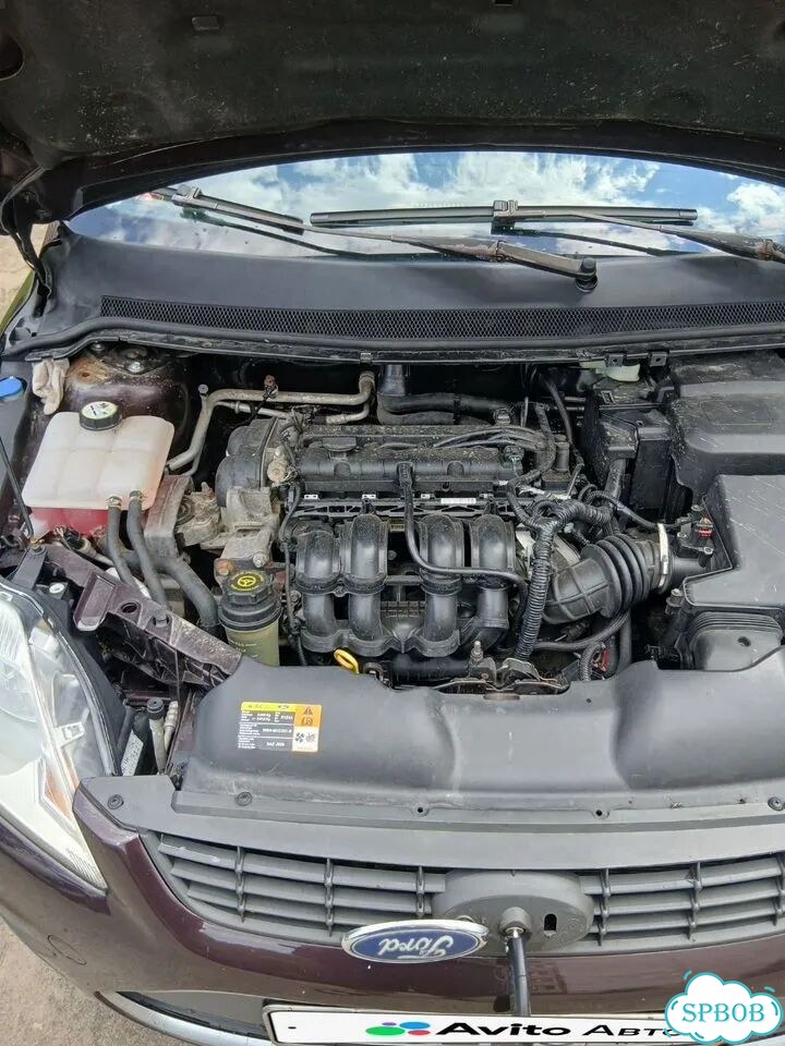 Ford Focus 1.6 MT, 2008, 271 300 км фото 8