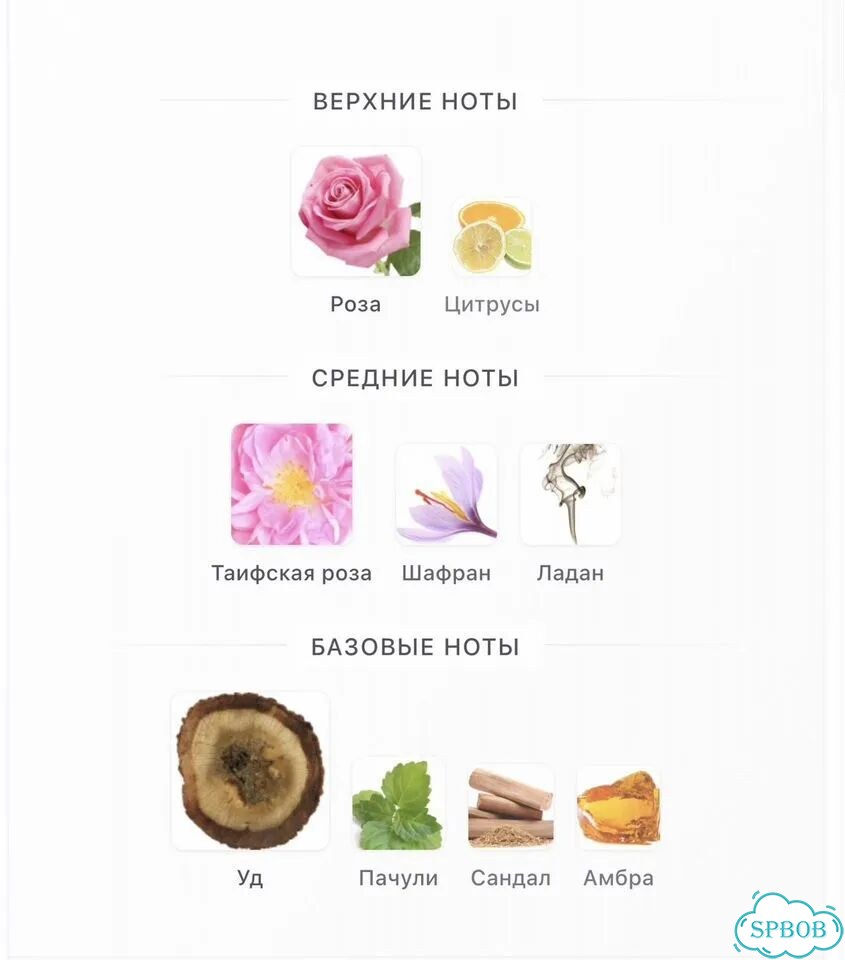 Histories de parfums Rosam фото 3