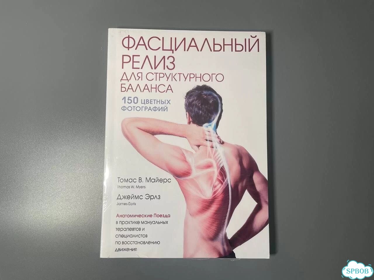 Фасциальный релиз для структурного баланса Майерс фото 1