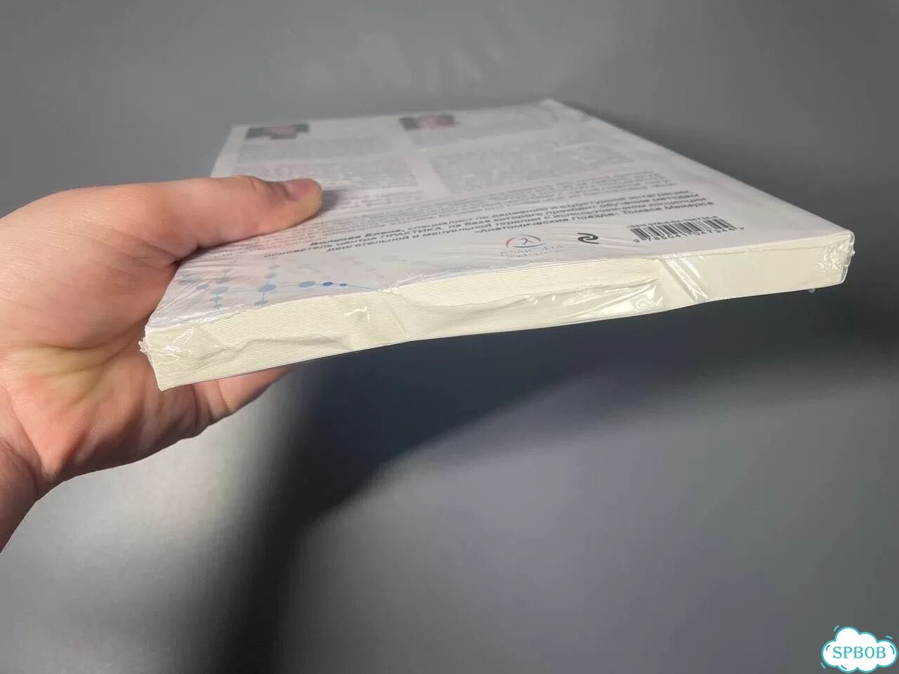 Фасциальный релиз для структурного баланса Майерс фото 4