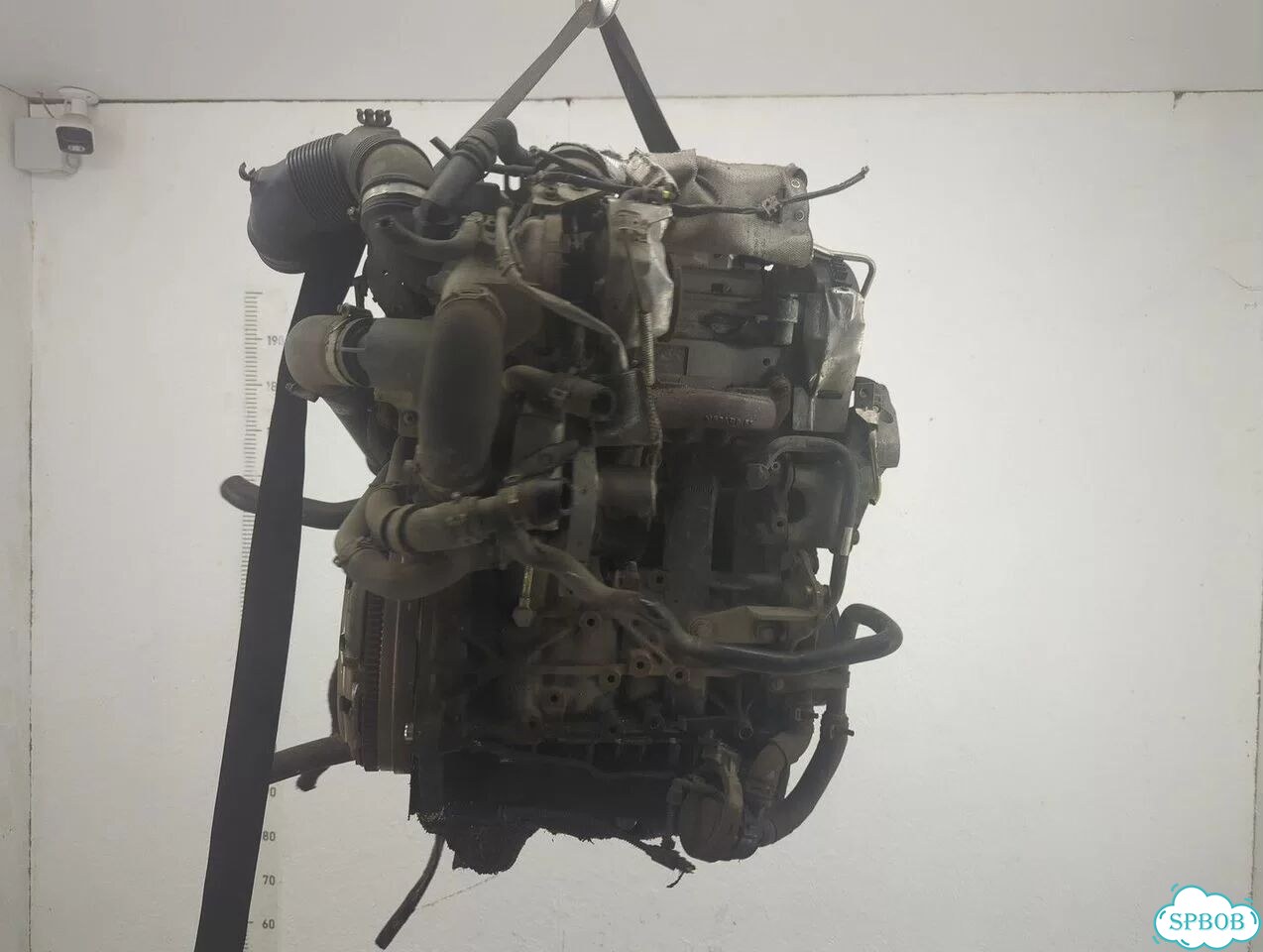 Двигатель Skoda Octavia (A7) clha фото 3