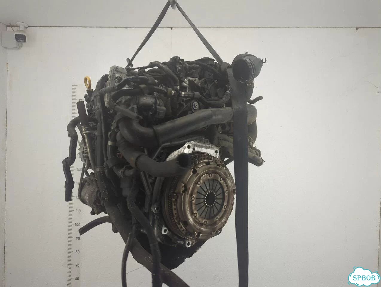 Двигатель Skoda Octavia (A7) clha фото 4