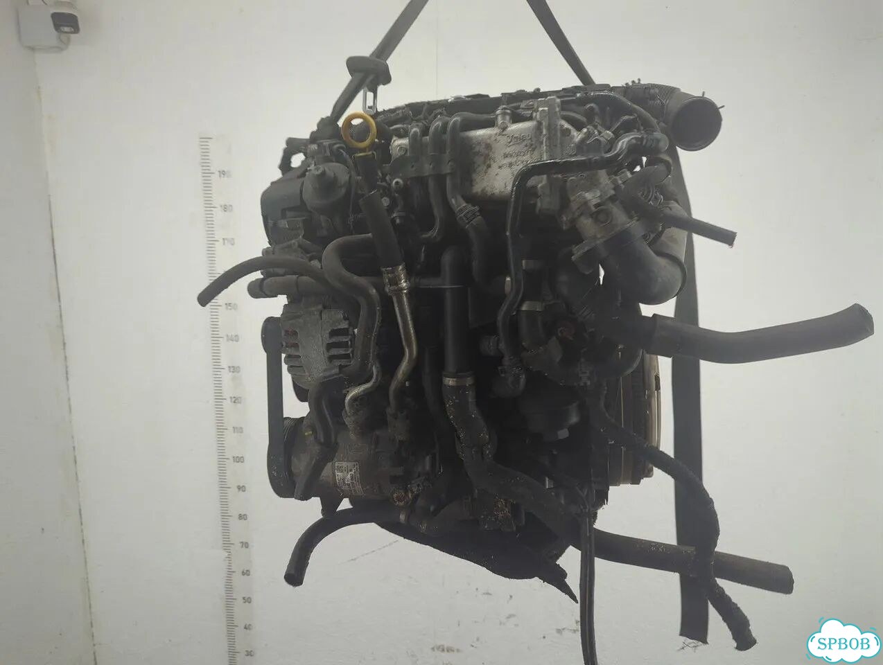 Двигатель Skoda Octavia (A7) clha фото 5