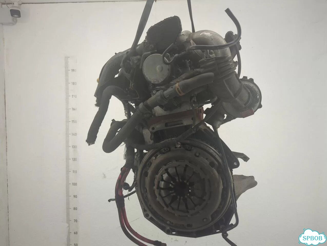 Двигатель Renault Scenic K9K 832 фото 4