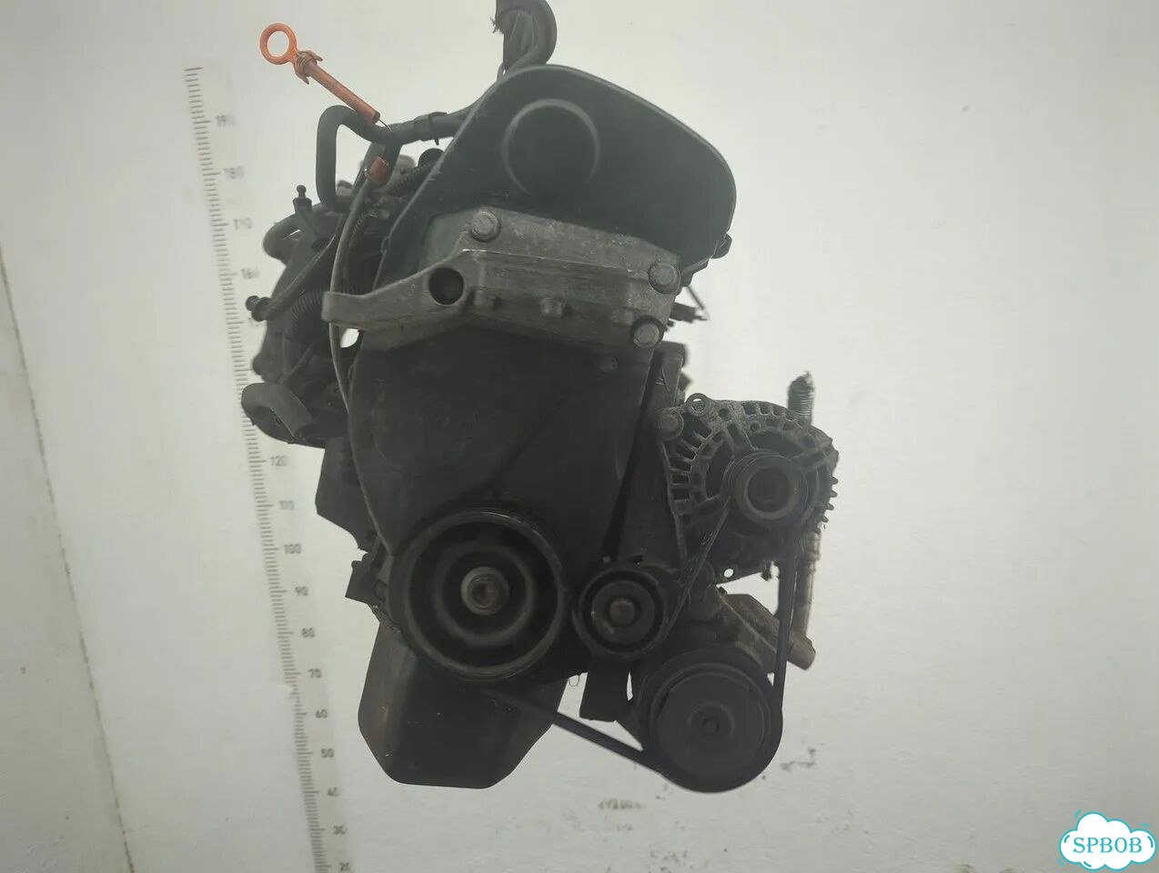 Двигатель Seat Ibiza 4 BXW фото 1