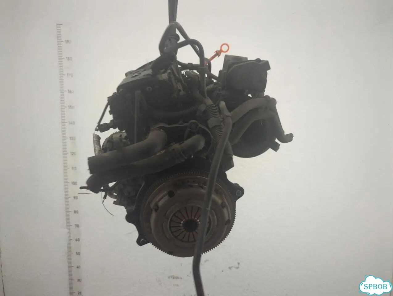 Двигатель Seat Ibiza 4 BXW фото 4