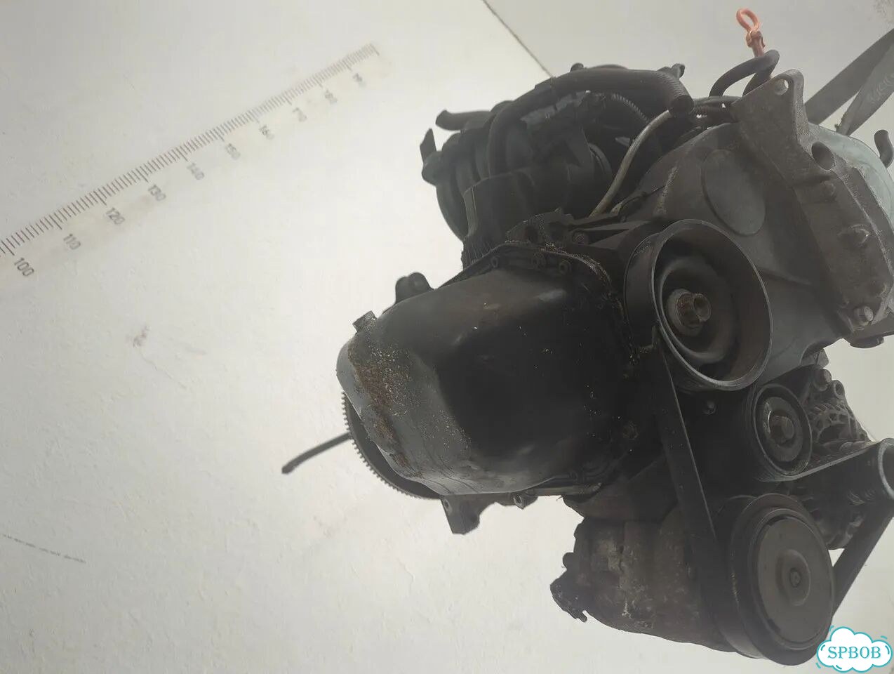 Двигатель Seat Ibiza 4 BXW фото 7