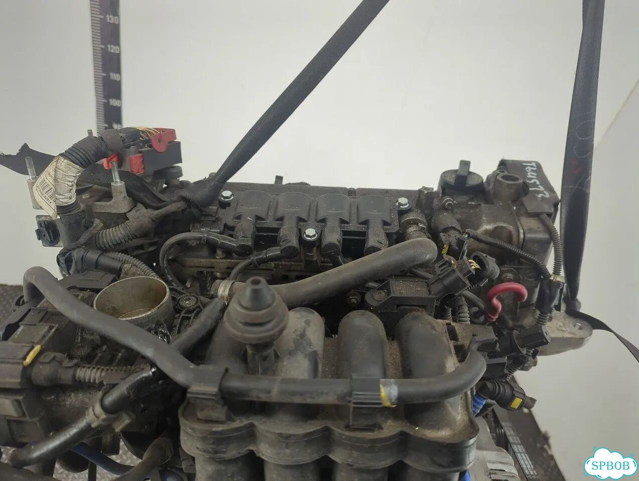 Двигатель Fiat Grande Punto 350 A 1.000 фото 9