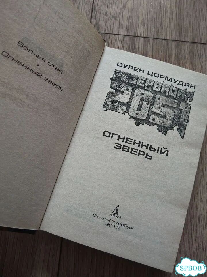 С. Цормудян. Огненный зверь. 2013 фото 3