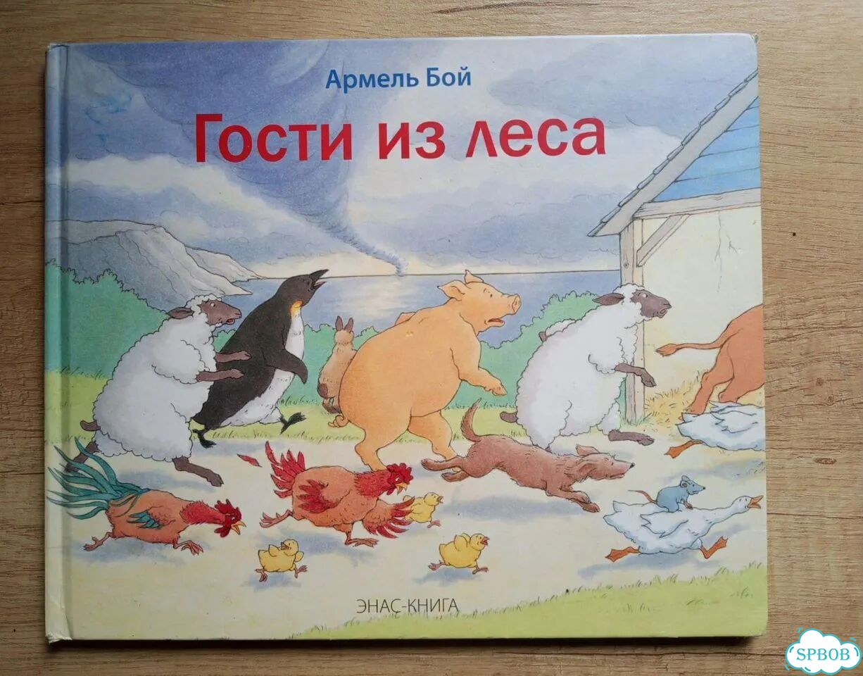 Армель Бой Гости из леса, Квиколо король фото 1