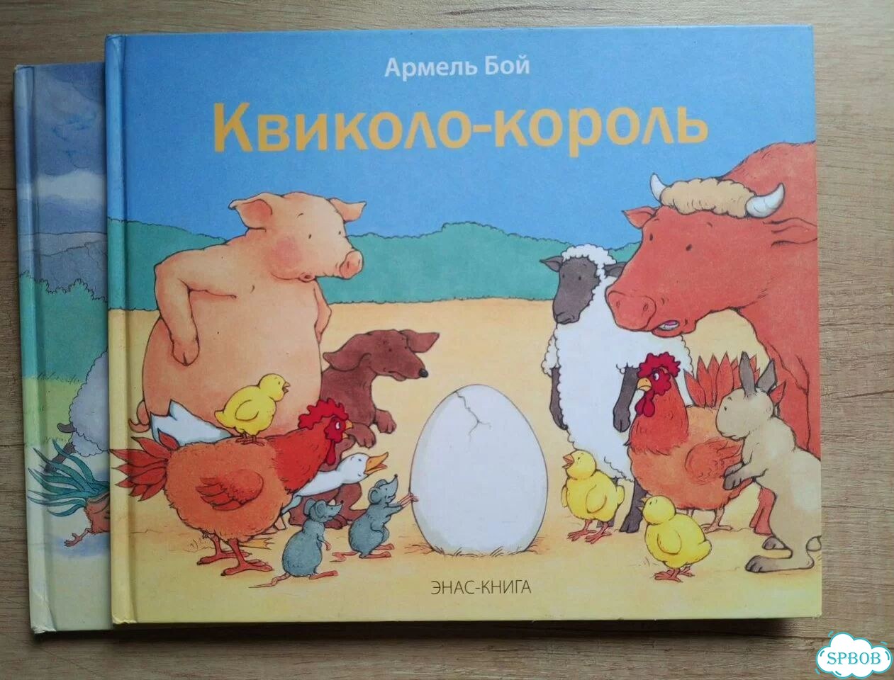 Армель Бой Гости из леса, Квиколо король фото 2
