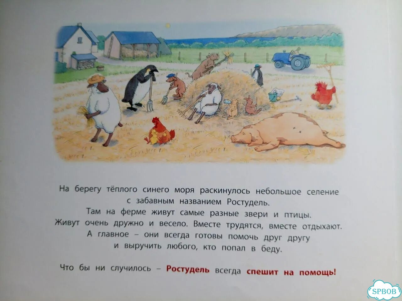 Армель Бой Гости из леса, Квиколо король фото 9
