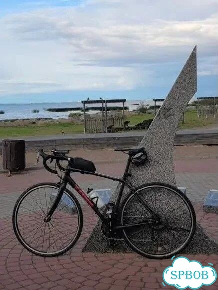Шоссейный велосипед Trek Domane al2 фото 2