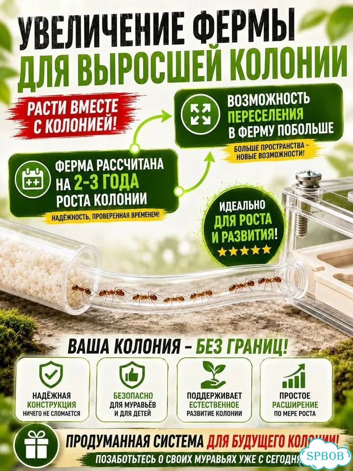 Муравьиная ферма с муравьями полный комплект фото 5