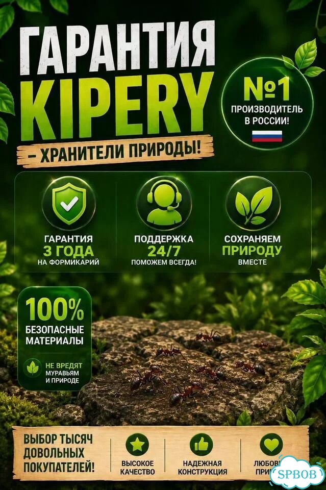 Муравьиная ферма с муравьями полный комплект фото 6