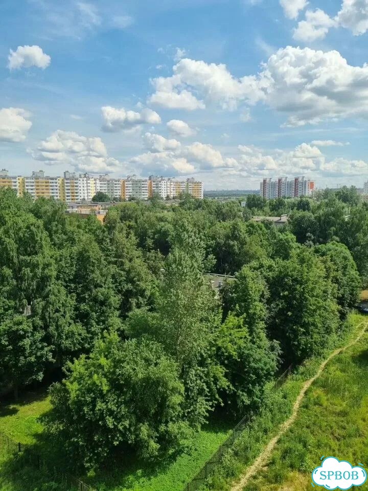 2-к. квартира, 64,5 м², 9/12 эт. фото 19