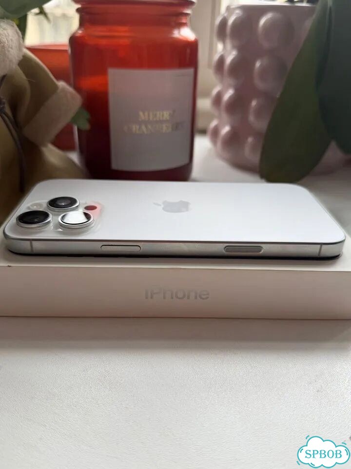 iPhone 16 Pro Max, 512 ГБ, 1 SIM фото 1