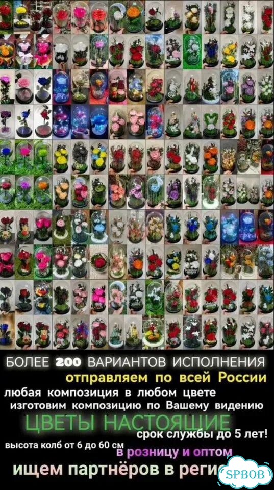 Роза в колбе букет цветов ночник картина, с34, от фото 10