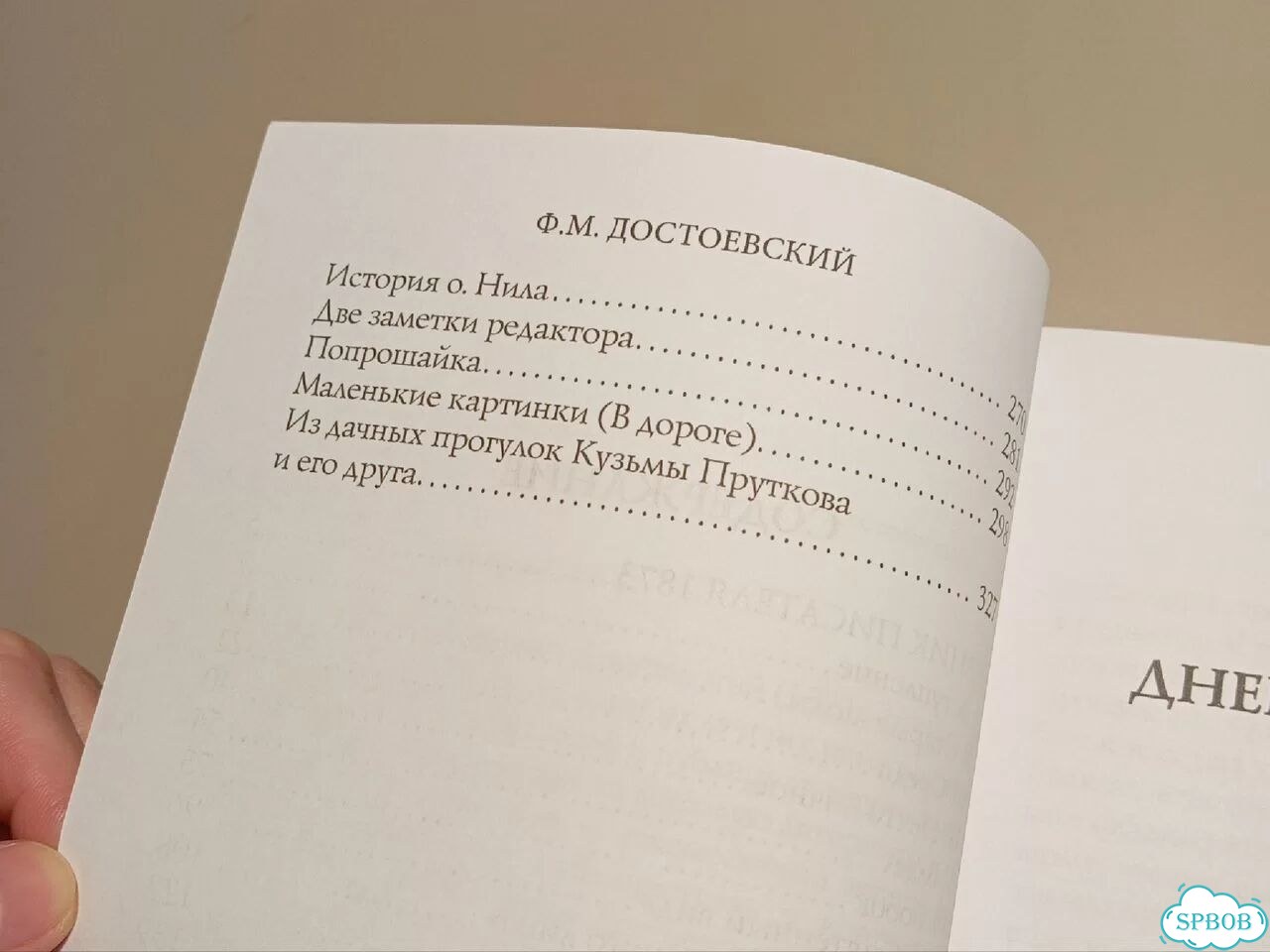 Новая книга Достоевский Дневник писателя 1873 фото 5