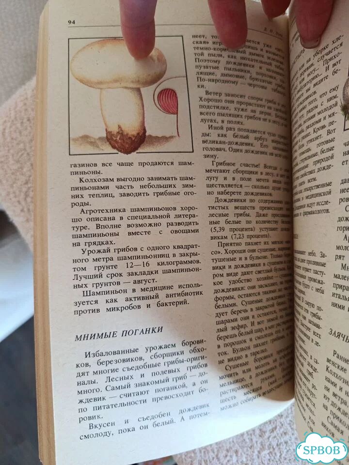 Зуев Дары русского леса. Книга про грибы фото 10