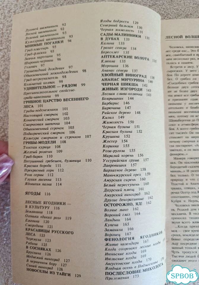 Зуев Дары русского леса. Книга про грибы фото 5