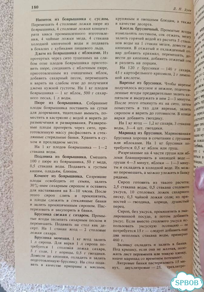 Зуев Дары русского леса. Книга про грибы фото 7