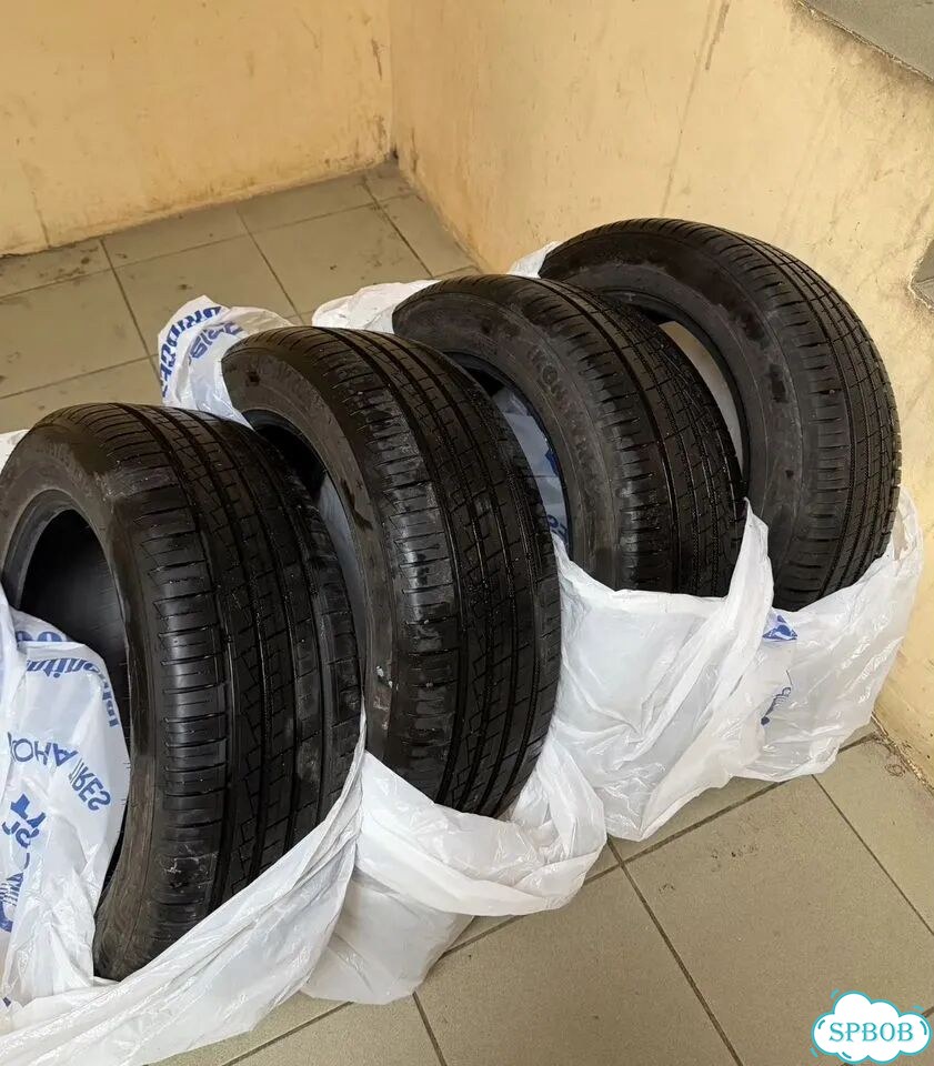 Ikon Tyres Autograph Eco 3 205/55 R16 94H фото 2