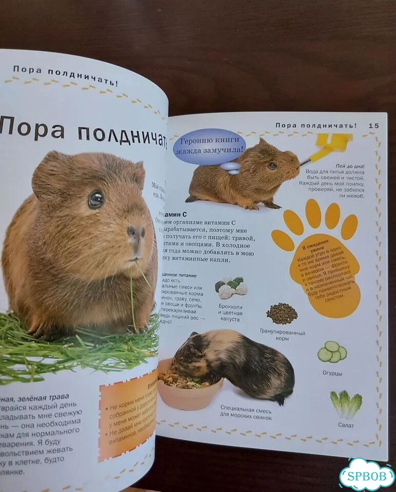 Книжка о морской свинке фото 2
