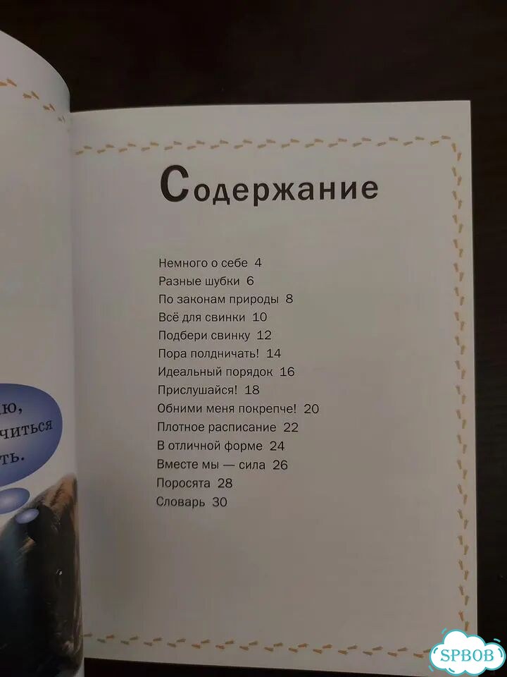 Книжка о морской свинке фото 3