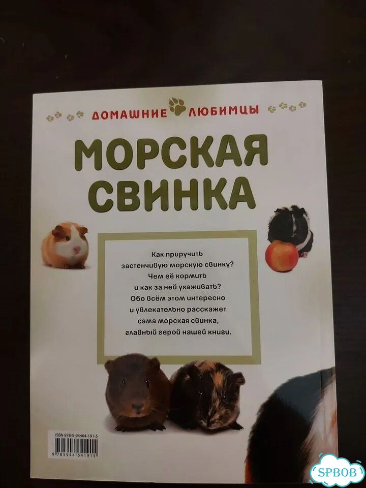 Книжка о морской свинке фото 4