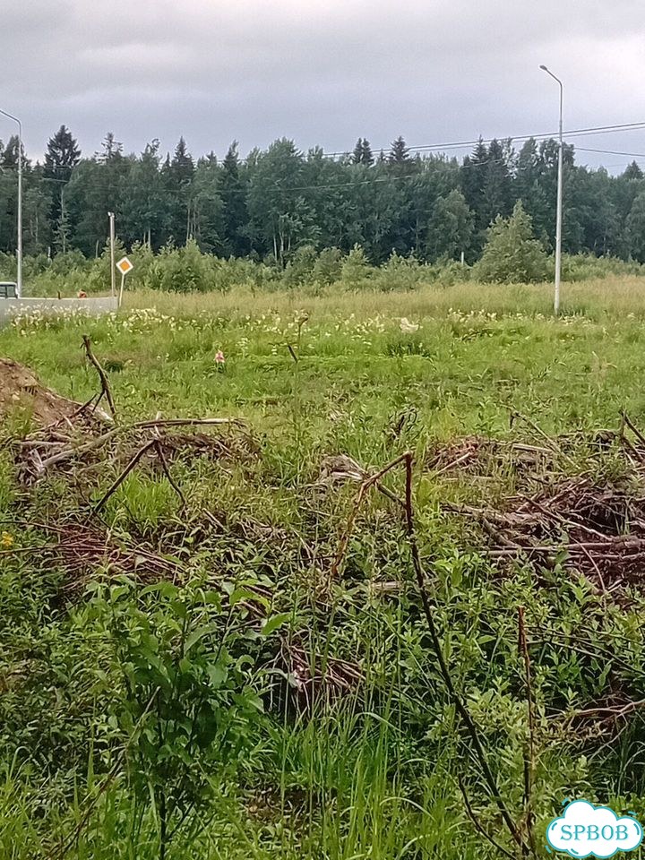 Участок 21,4 сот. (ИЖС) фото 5