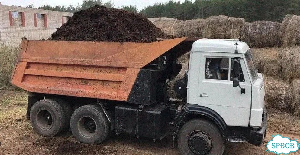 Черноземы почвы природная фото 5