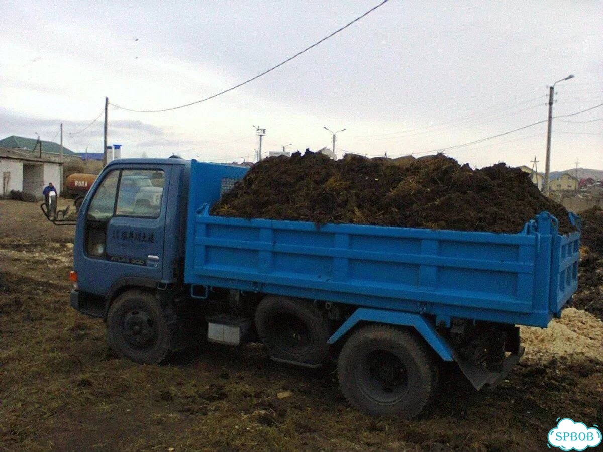 Земля чернозем фото 1