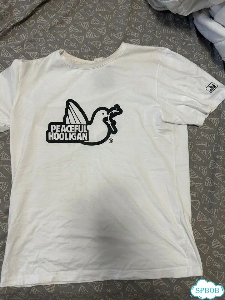 Футболка peaceful hooligan фото 1