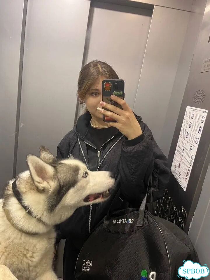 Приходящая зооняня/выгульщик собак фото 2