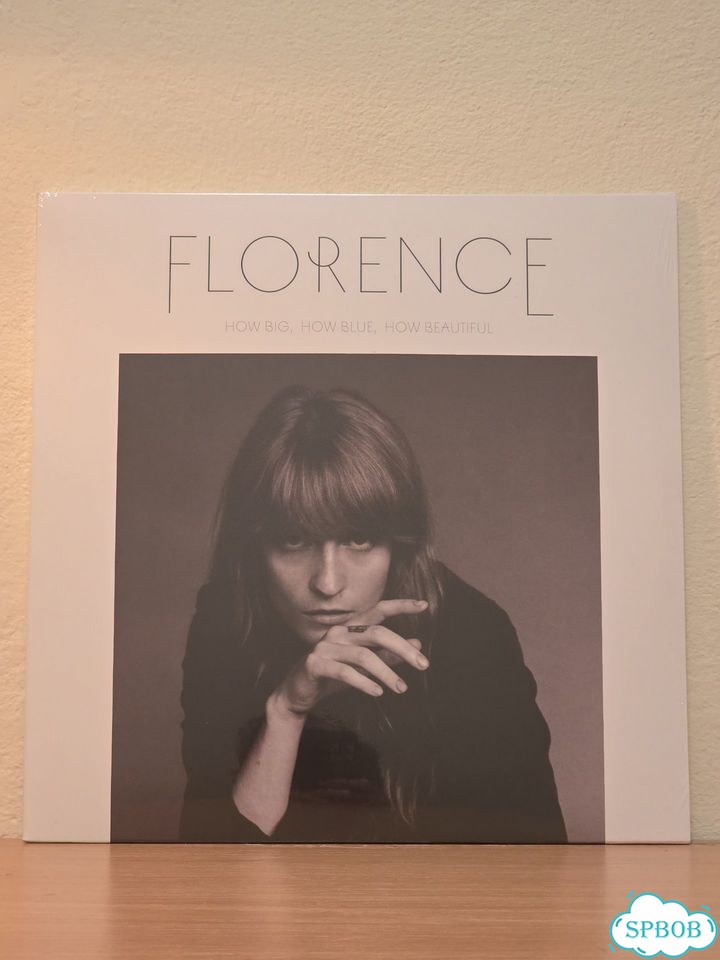 Florence + The Machine - How Big, How Blue, How фото 1