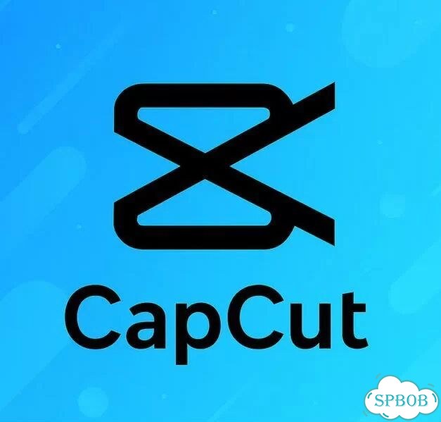 Cap Cut Pro Standard/Pro 12 месяцев фото 1
