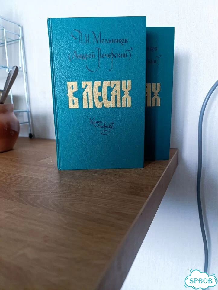 Мельников Печорский в лесах 2 дома фото 2