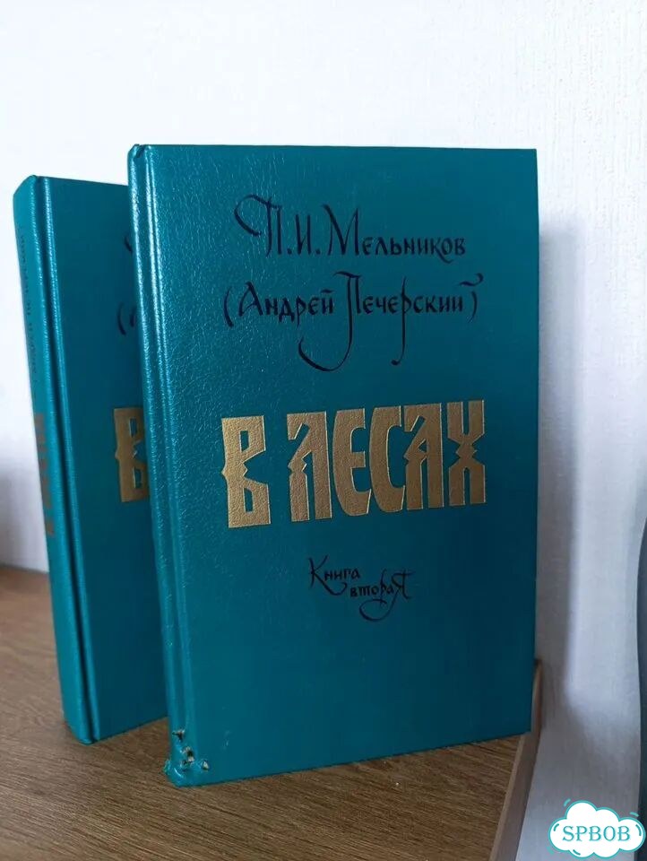 Мельников Печорский в лесах 2 дома фото 3