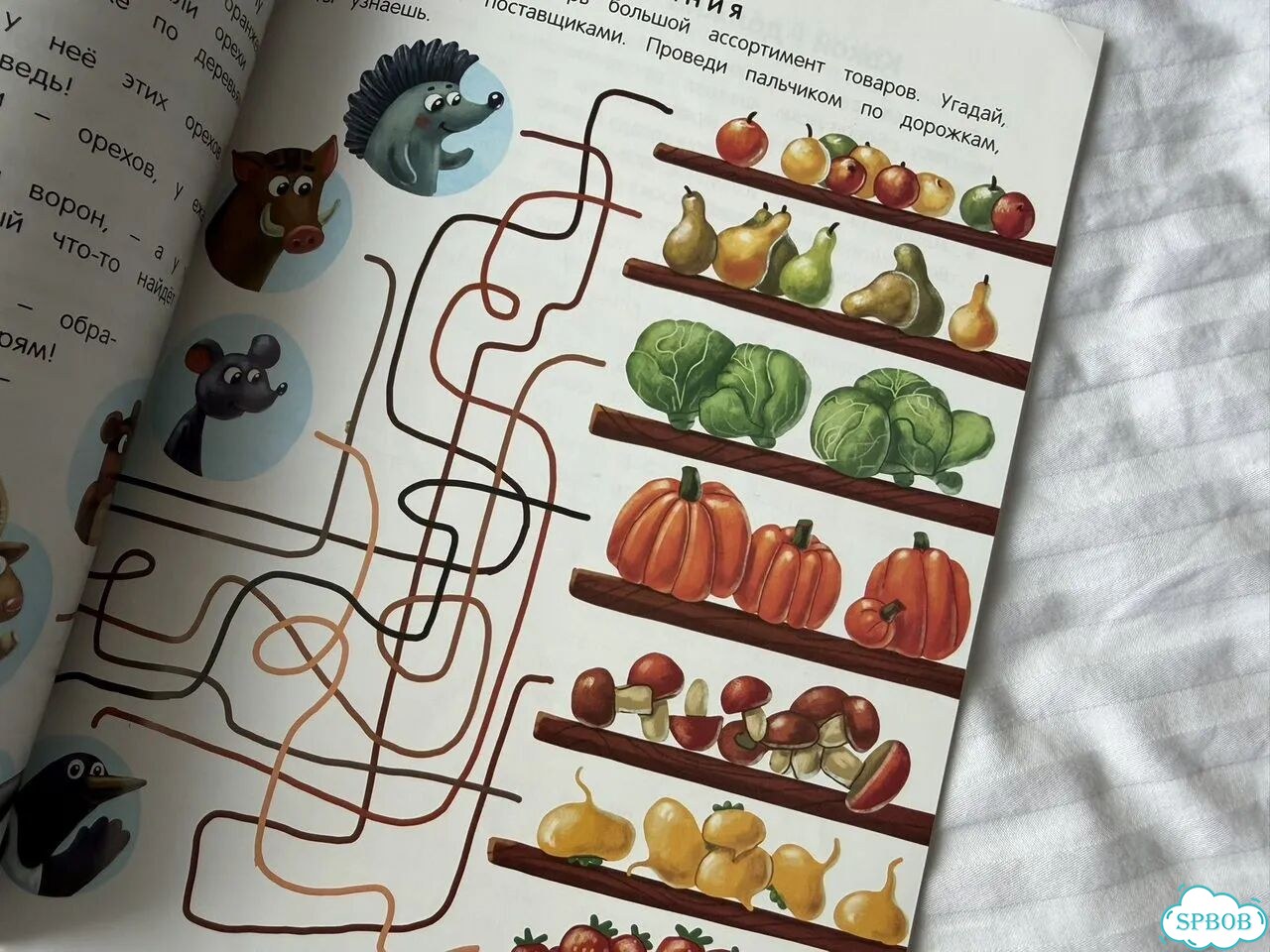 Детская книга Откуда берутся деньги фото 7
