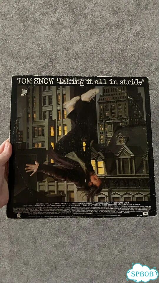 Tom Snow - Taking It All In Stride фото 2