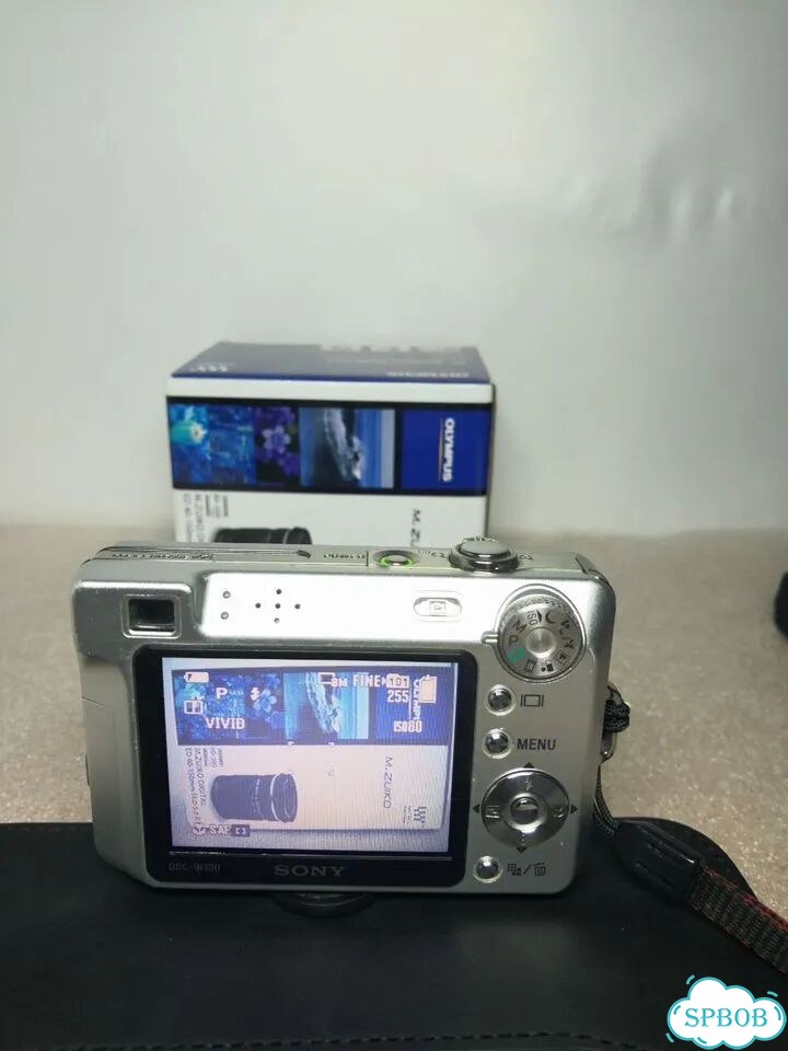 Sony Cyber-Shot W100+Сумка+1гб+З/устр.+ фото 4