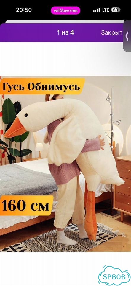 Гусь обнимусь 160 фото 3