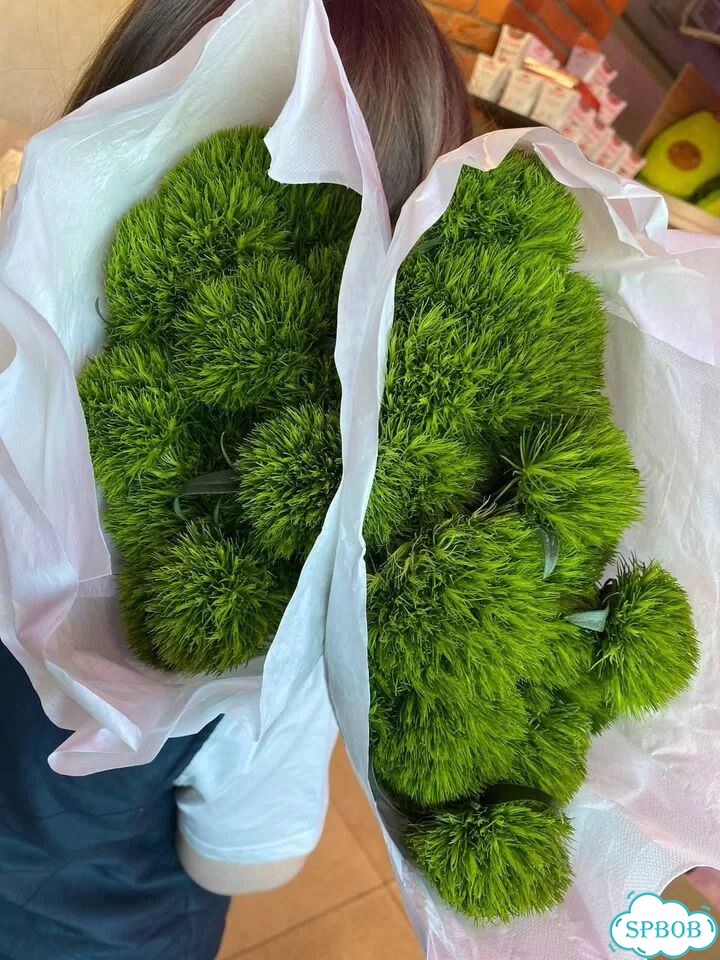 Гвоздика одноголовая Kiwi оптом фото 8