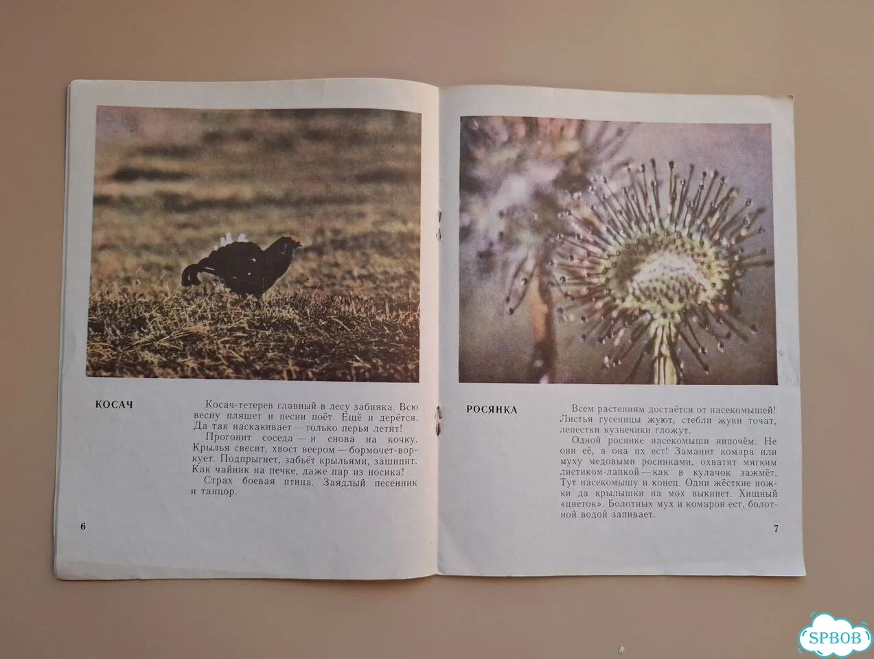 Книга СССР Знай наших Н. Сладков 1976 фото 3