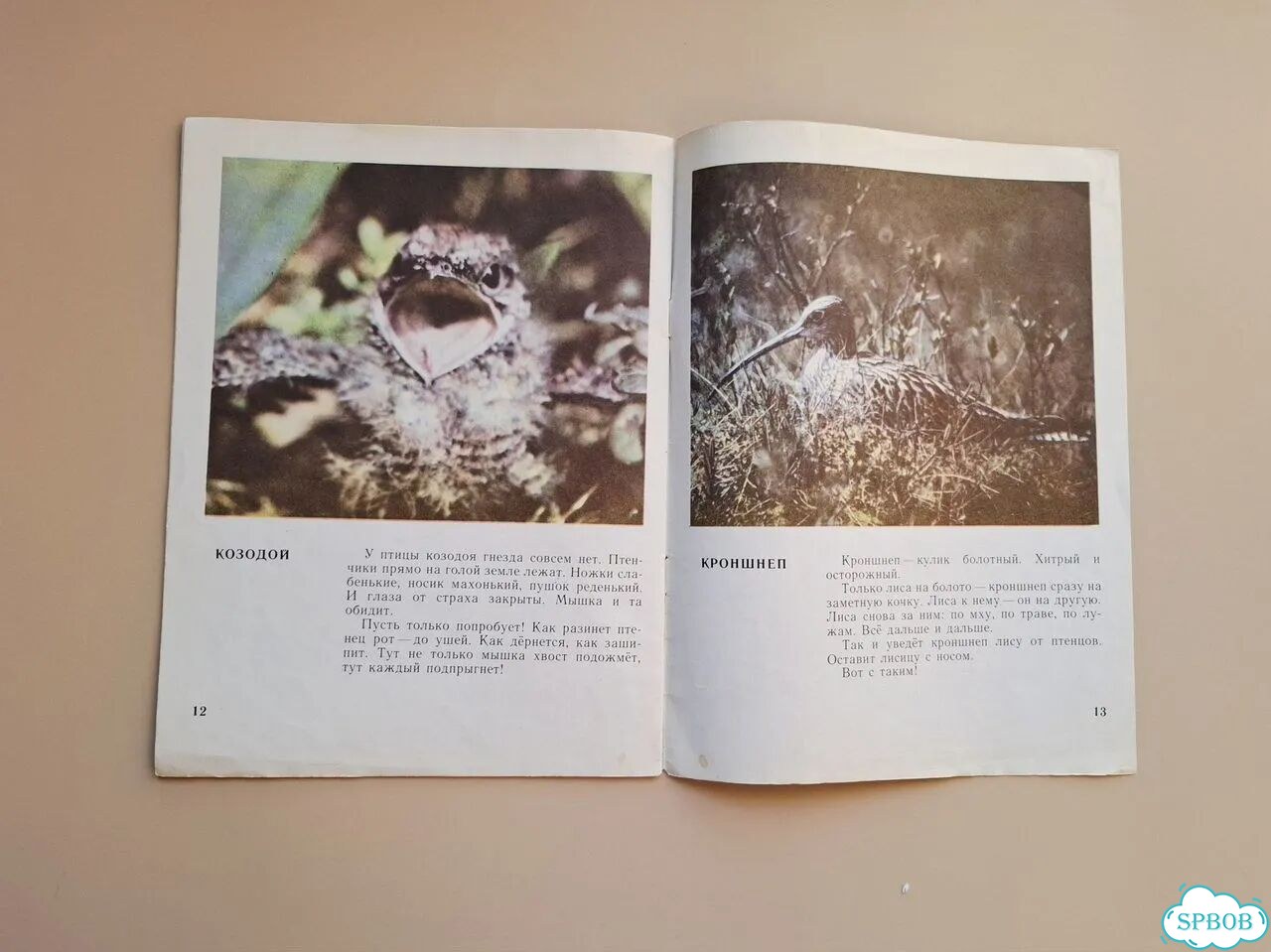 Книга СССР Знай наших Н. Сладков 1976 фото 4