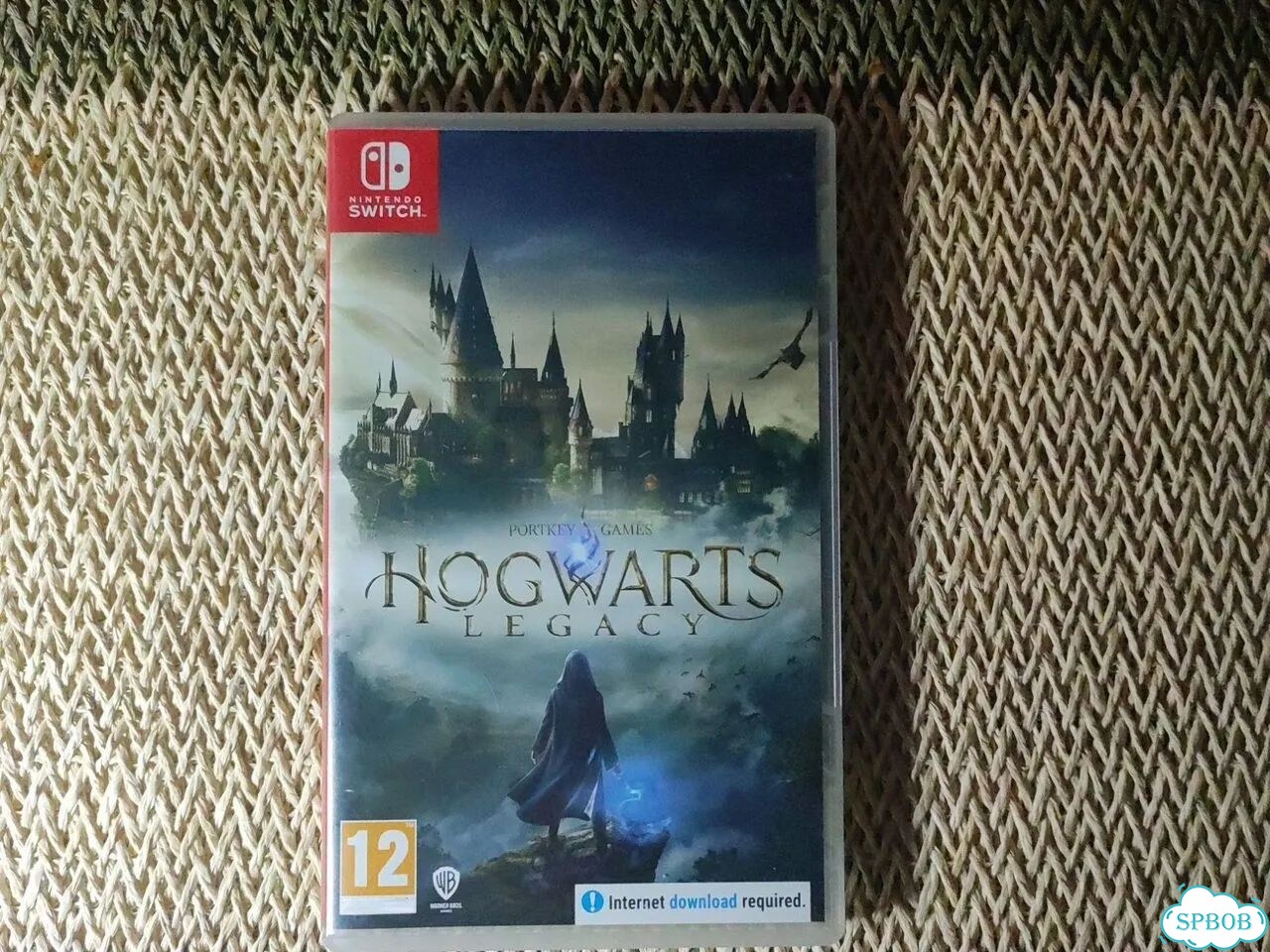 Hogwarts legacy флешка игры фото 1