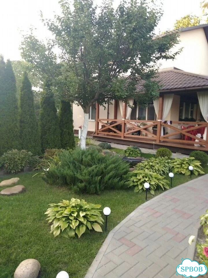 Благоустройство участка, дренаж, озеленение, газон фото 10